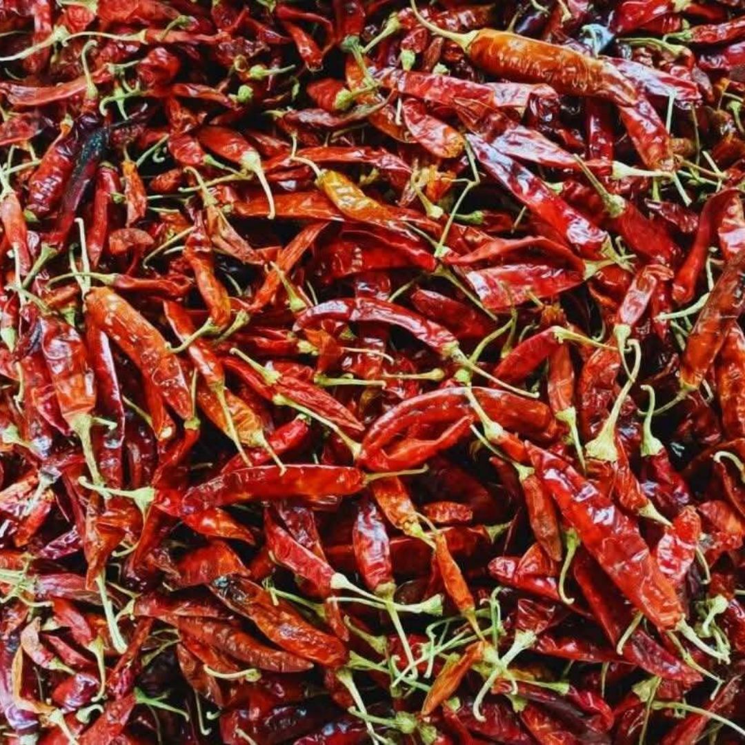 Dried Red Chili Peppers Premium Quality Whole Spicy Red Chilies for Cooking Seasoning and Flavor Enhancement
