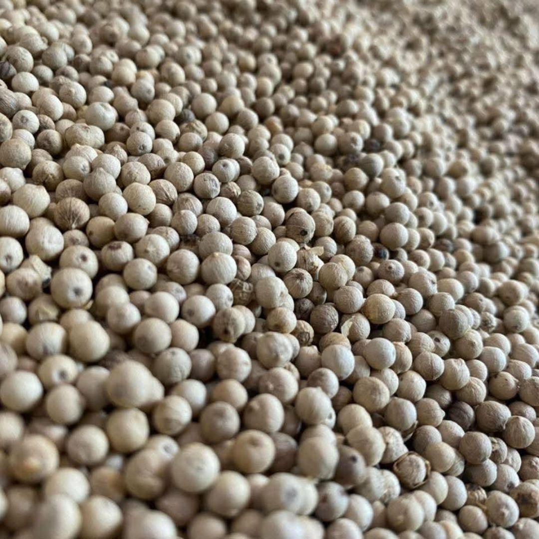 White Pepper Whole Premium Quality Whole White Peppercorns for Cooking Seasoning and Rich Flavor Enhancement