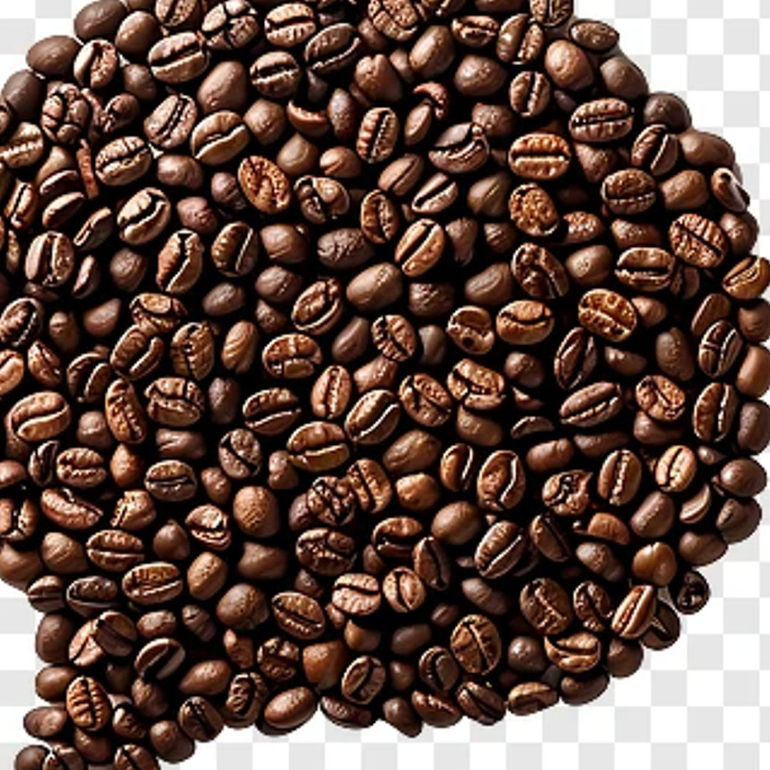 Fresh Coffee Beans Premium Coffee Supplier India