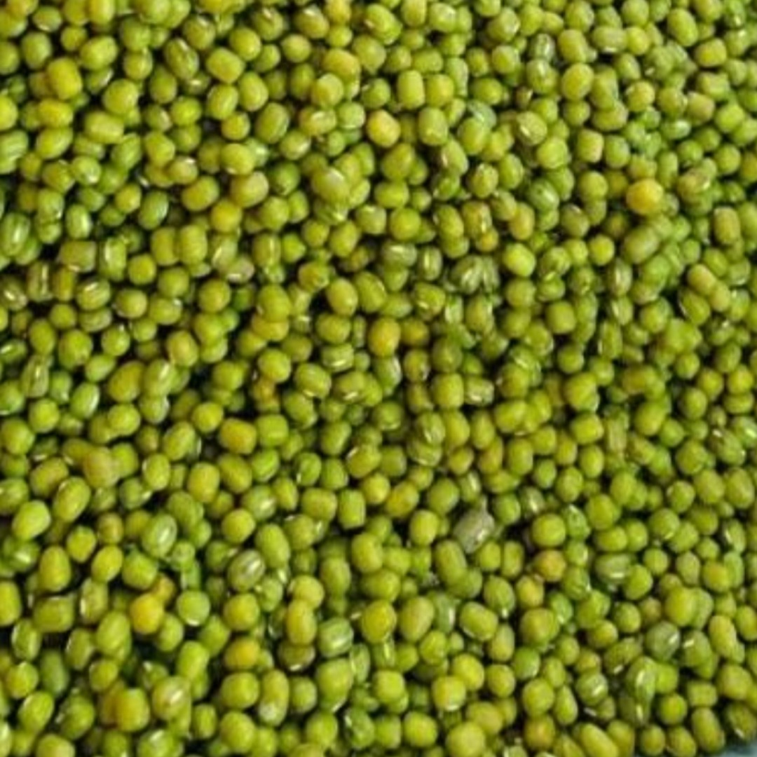 Green Gram High-Quality Pulses Supplier in India