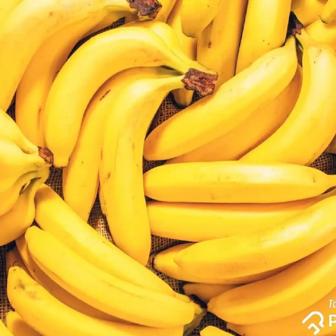 Fresh Banana – Wholesale & Supplier from India