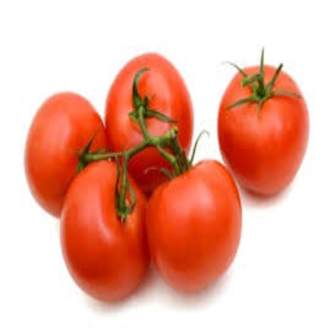 Vine-Ripened Tomatoes for Consistent Quality Export Markets