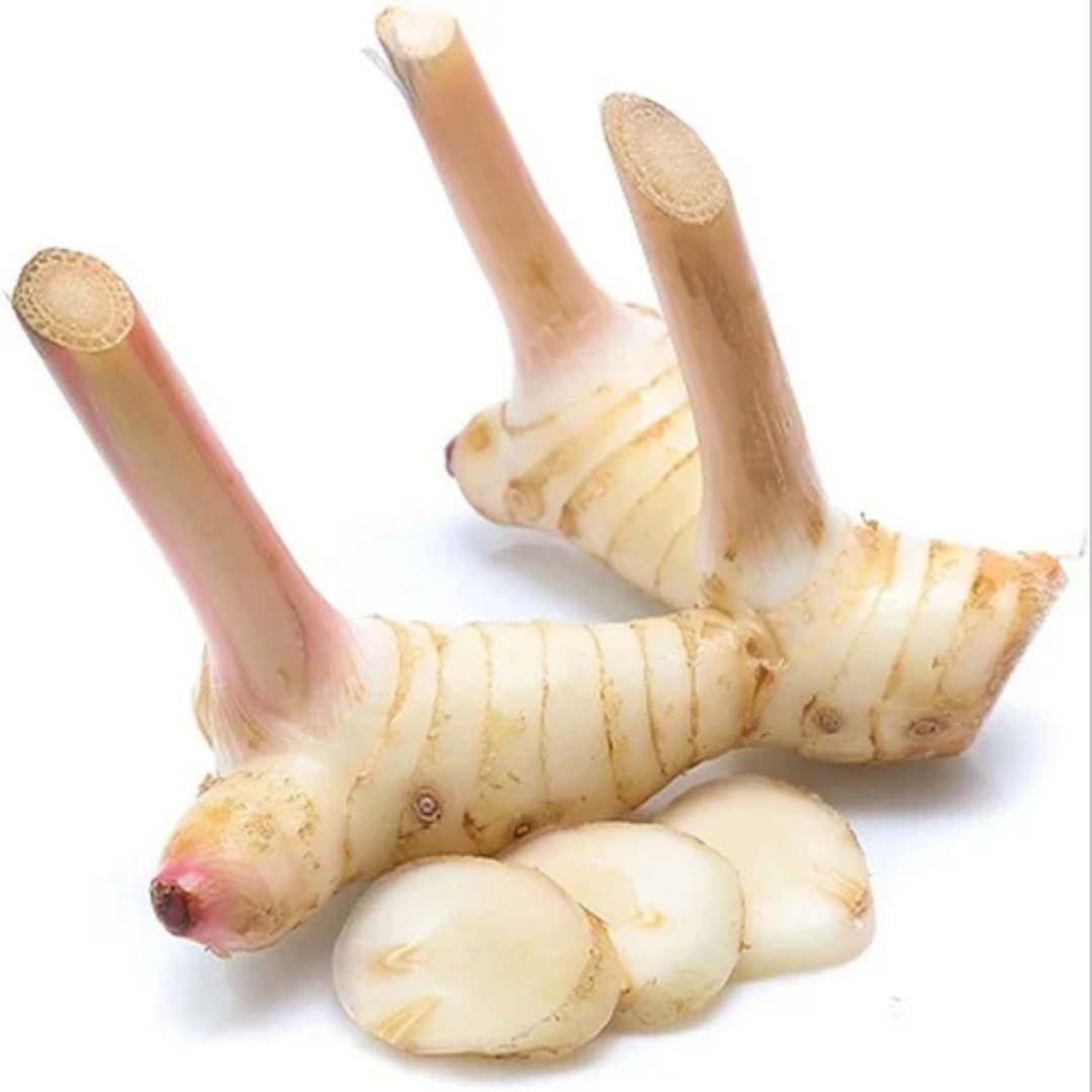 Galangal Ginger for Global Culinary and Export Markets