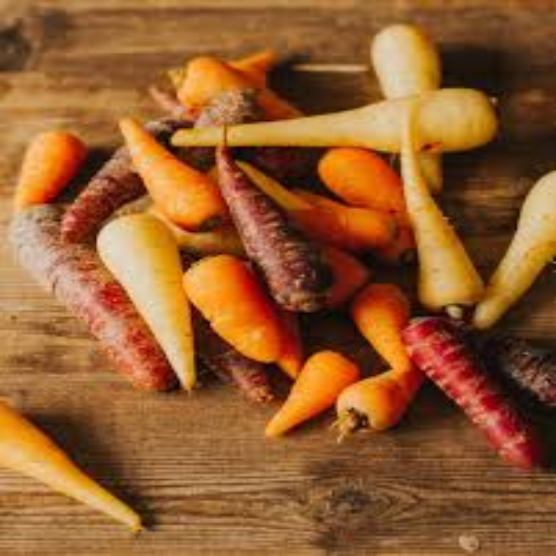 Chantenay Carrots for Wholesale Supply and Global Markets