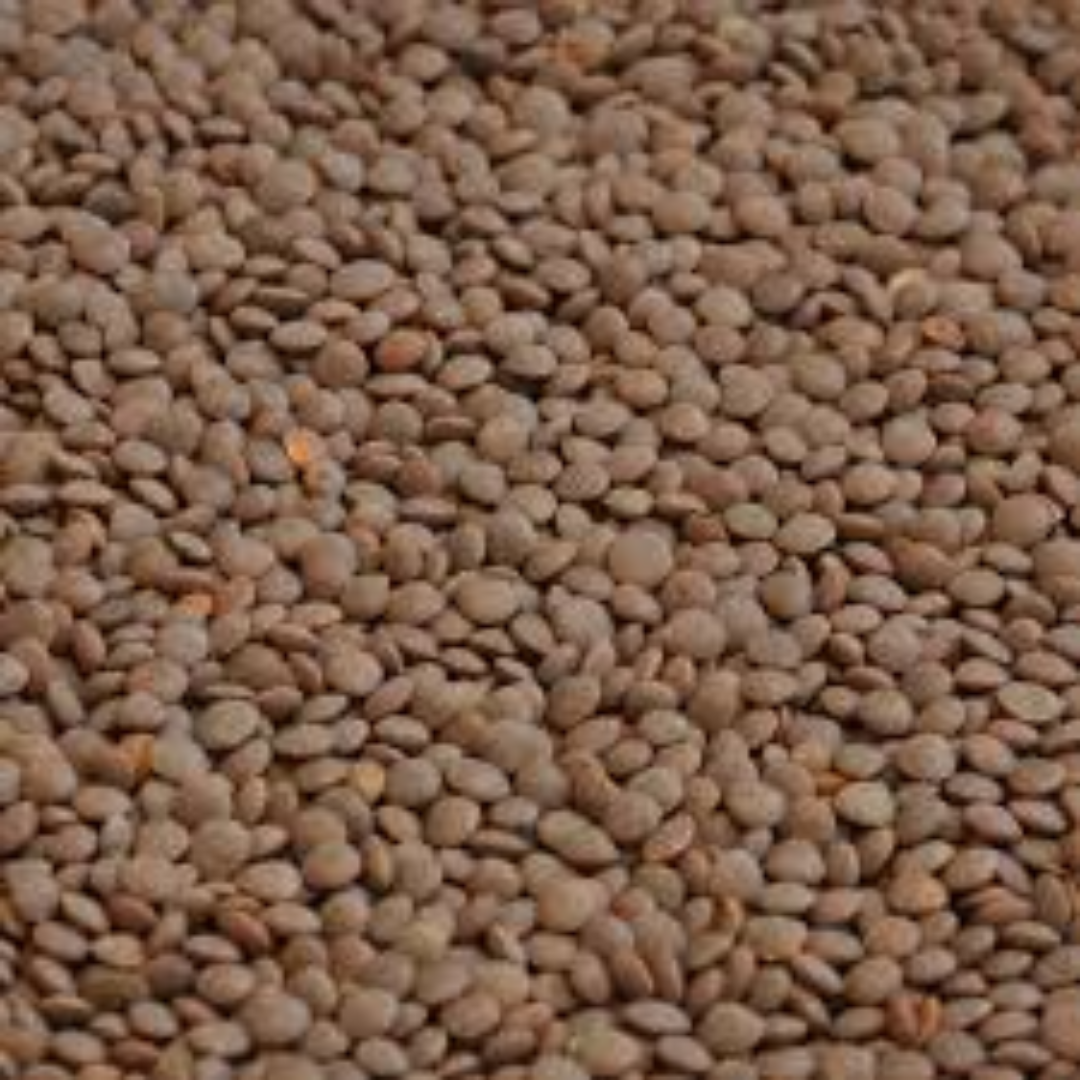 Whole Lentils High Protein Natural Pulses for Healthy Daily Cooking Rich Taste Farm Fresh Quality