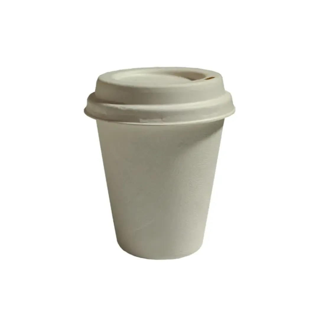 12oz Bagasse Hot Cup Malaysia | Eco-Friendly Distributor