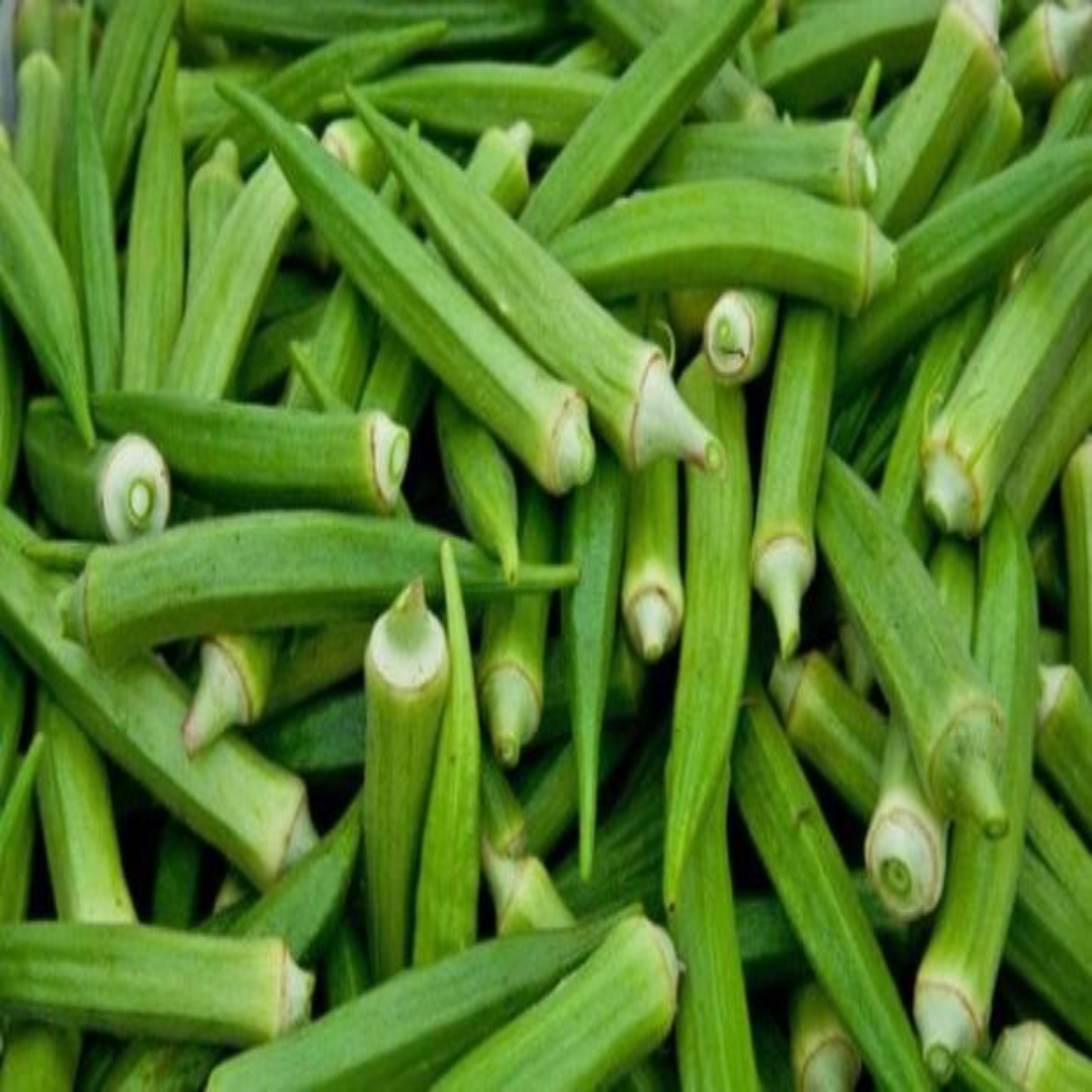 Okra Green Lady Finger Supplier For Fresh Veg