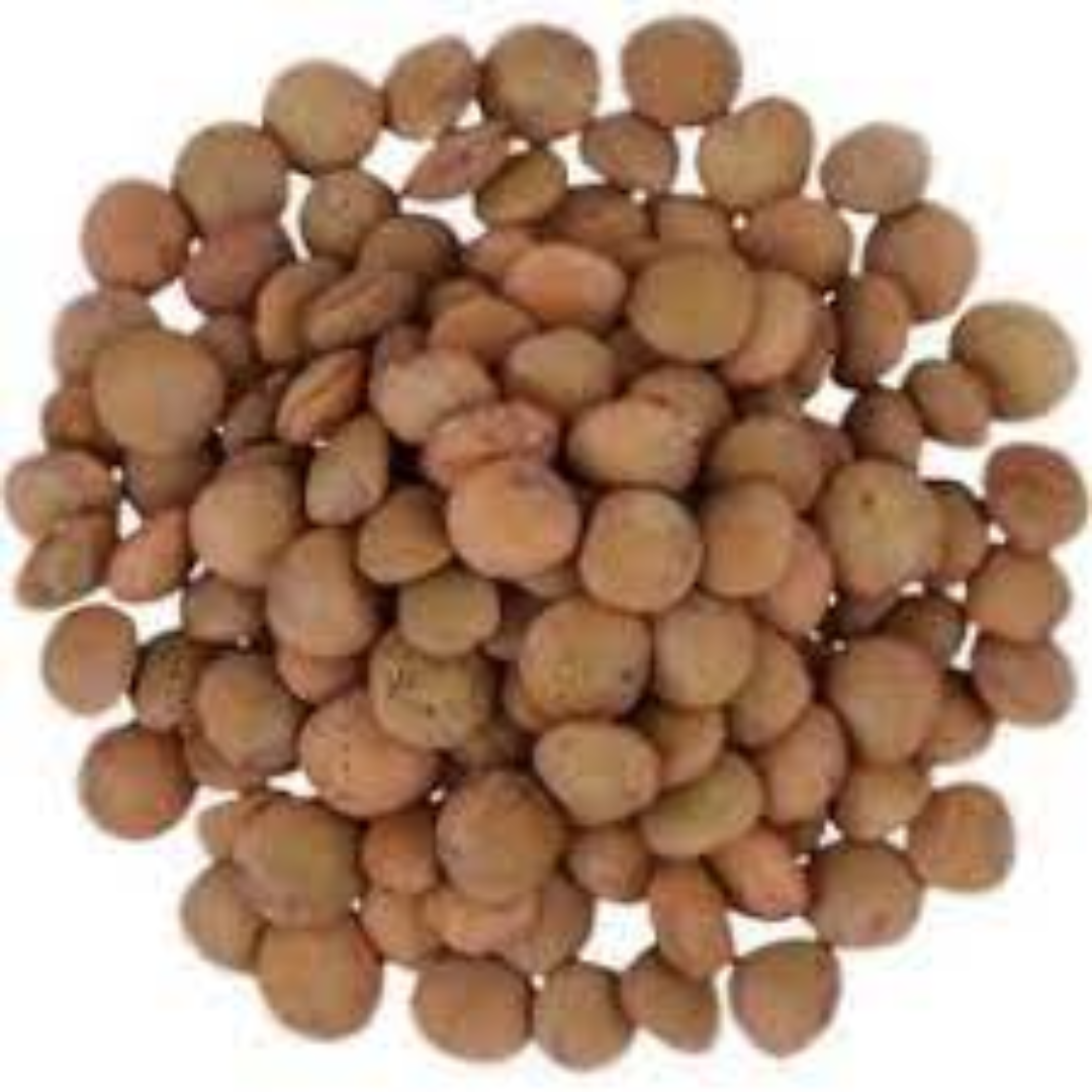 Whole Lentils for International Buyers and Foodservice Use