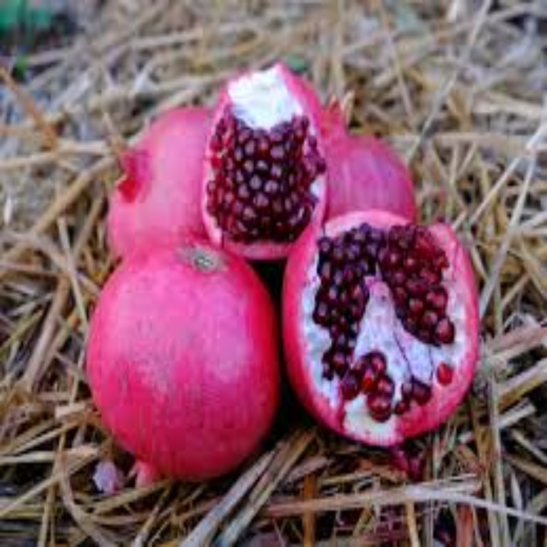 Purple Heart Pomegranates for Rich Taste and Export Quality