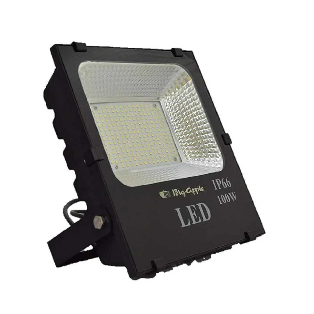 Big Apple 100W LED Flood Light High-Intensity Outdoor Lighting