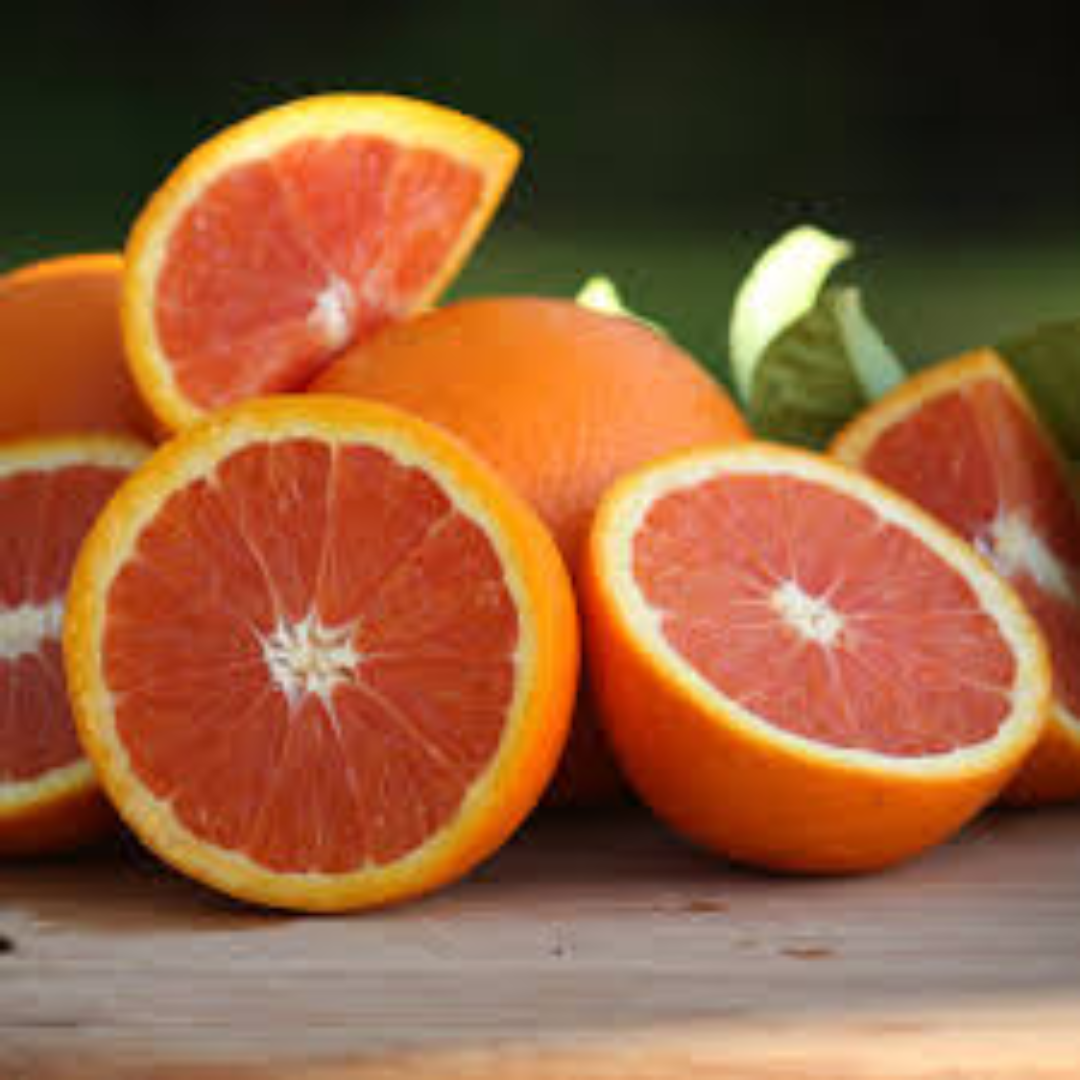 Cara Cara Oranges for Premium Citrus Export Distribution