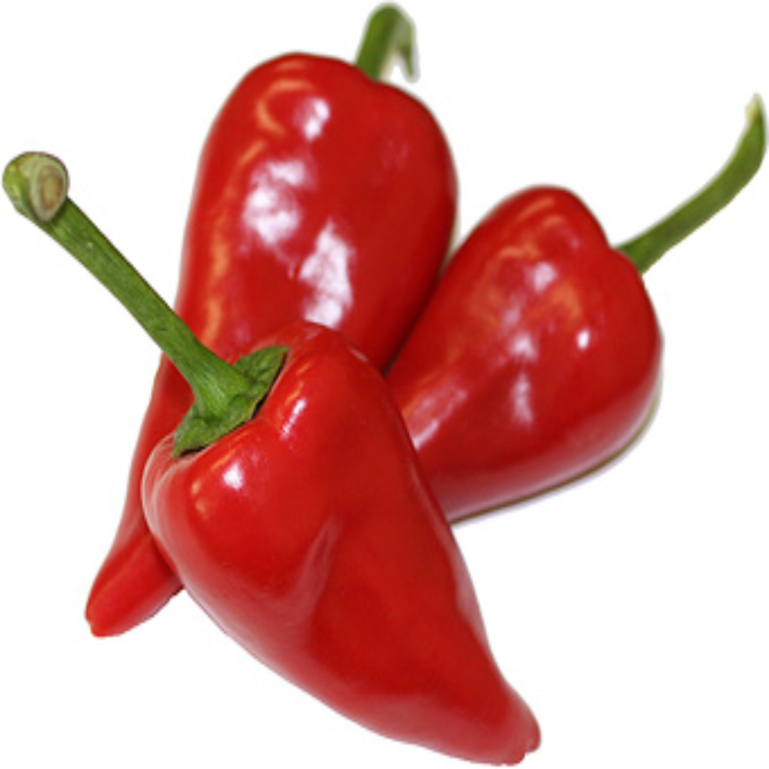 Piquillo Chili for Gourmet Cooking and Global Trade Supply