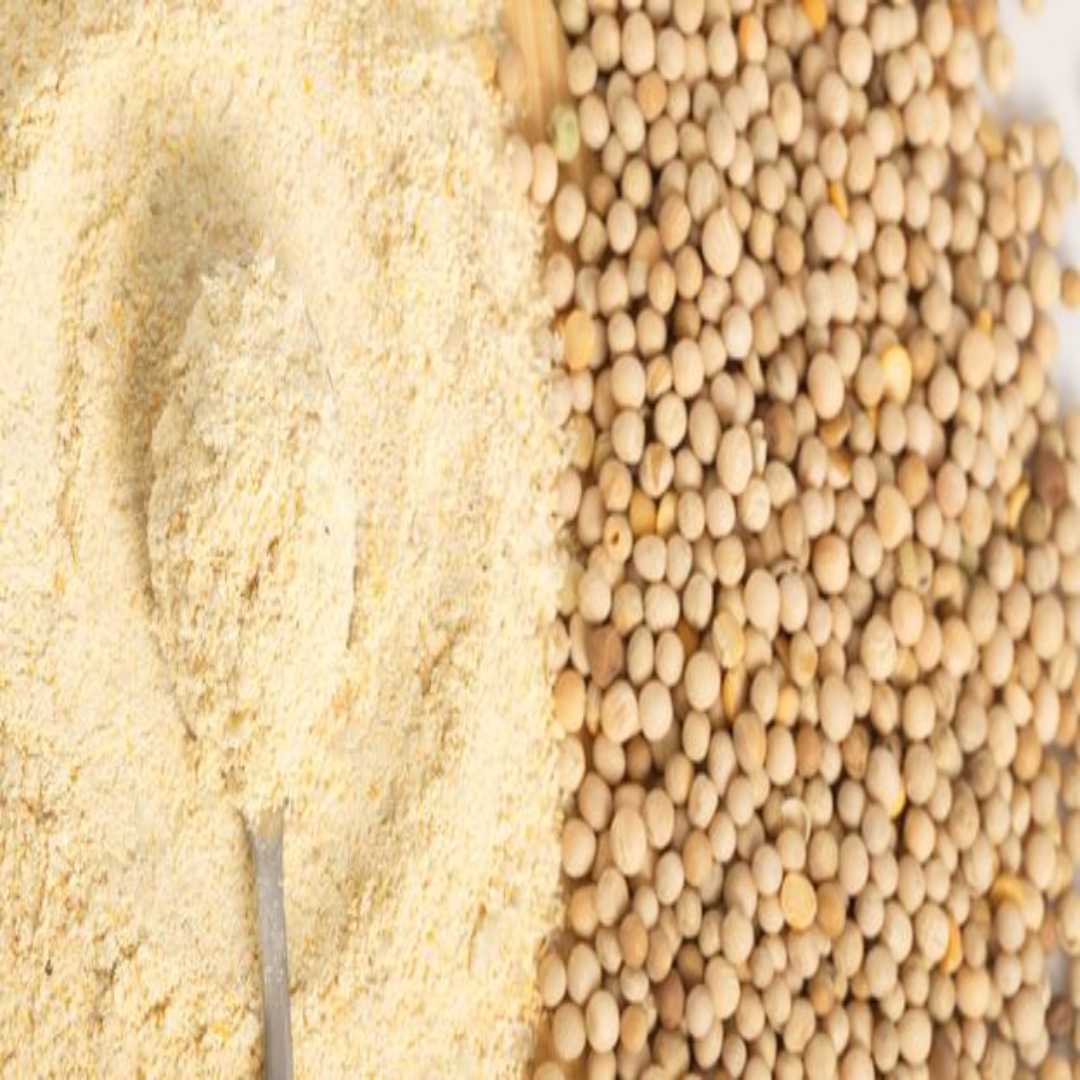 Bean and Legume Flours for Export and Food Processing Trade