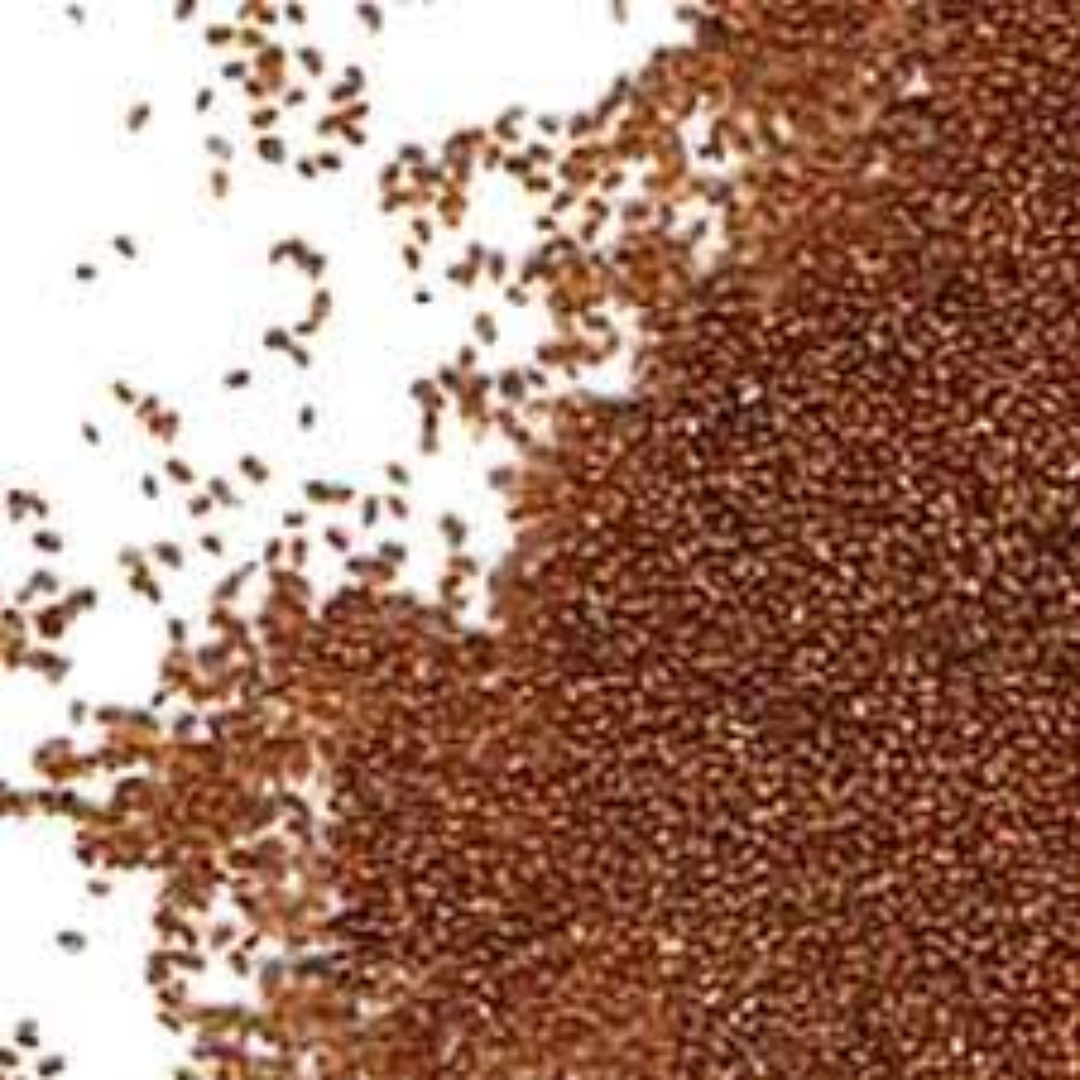 Teff Products