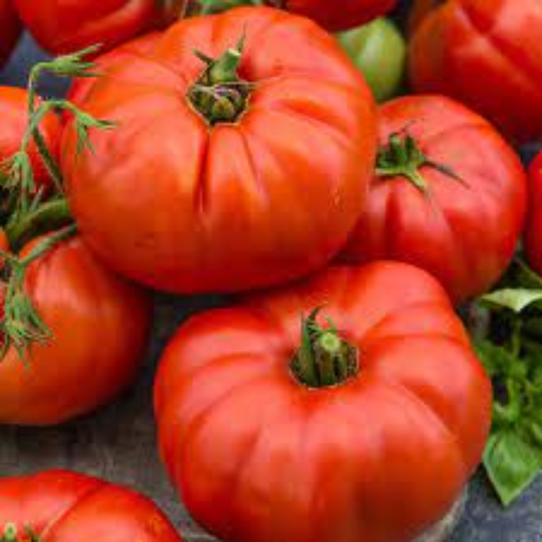 Beefsteak Tomatoes Known for Meaty Texture and Juiciness