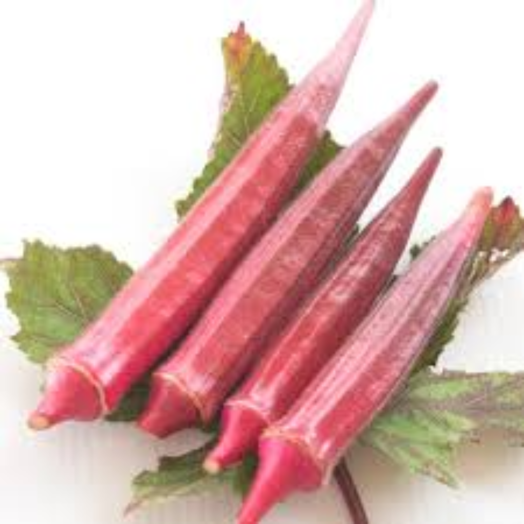 Fresh Okra Rose Lady Finger Premium Quality Tender Green Vegetable for Healthy Cooking Daily Use