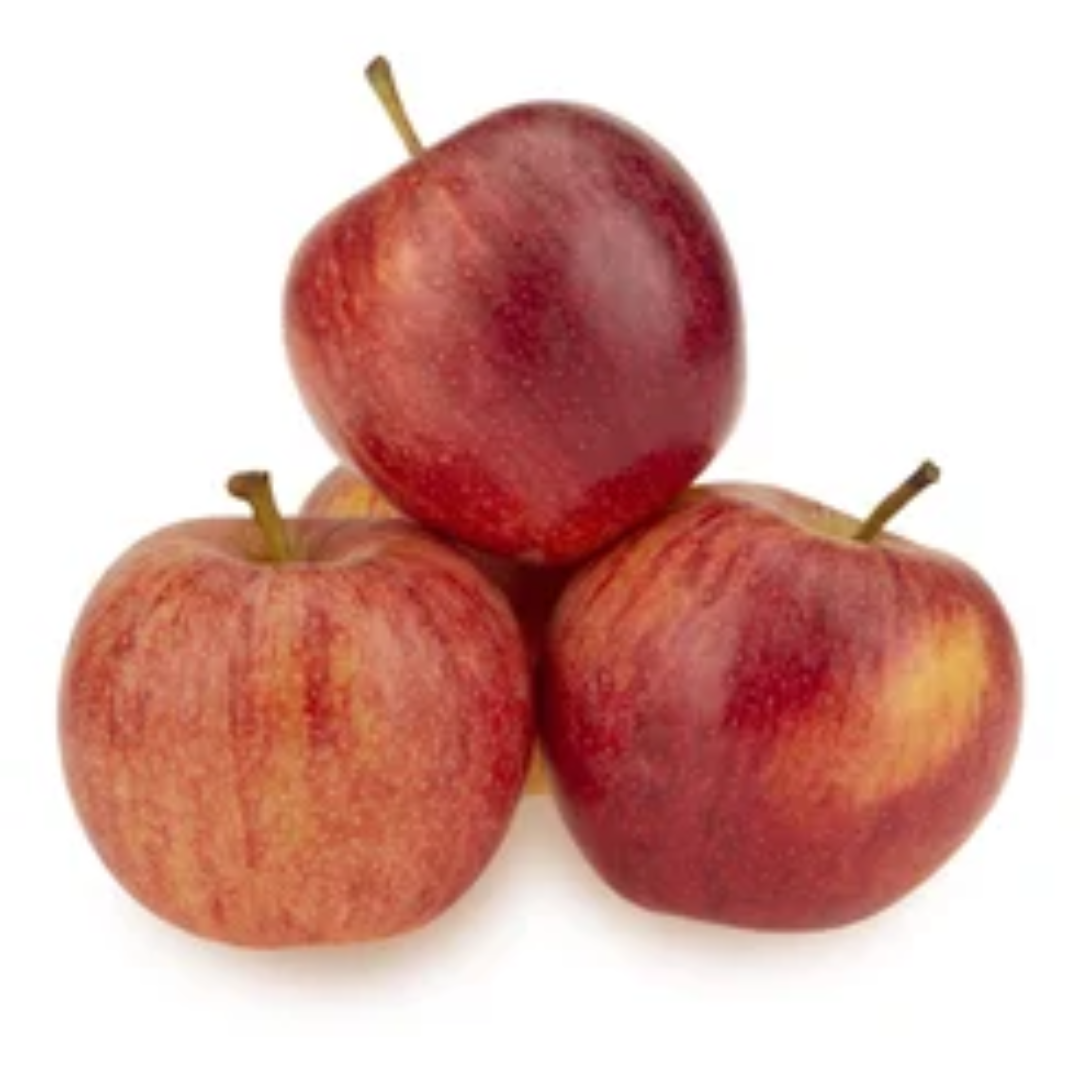 South Africa A Grade Flash Royal Gala Apple – Wholesale Supplier
