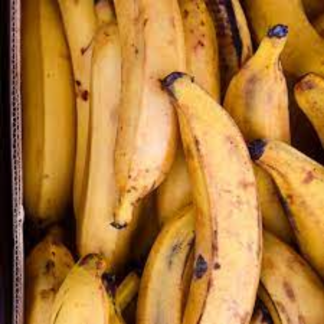 Fresh Banana Plantain for Premium Export and Global Trade