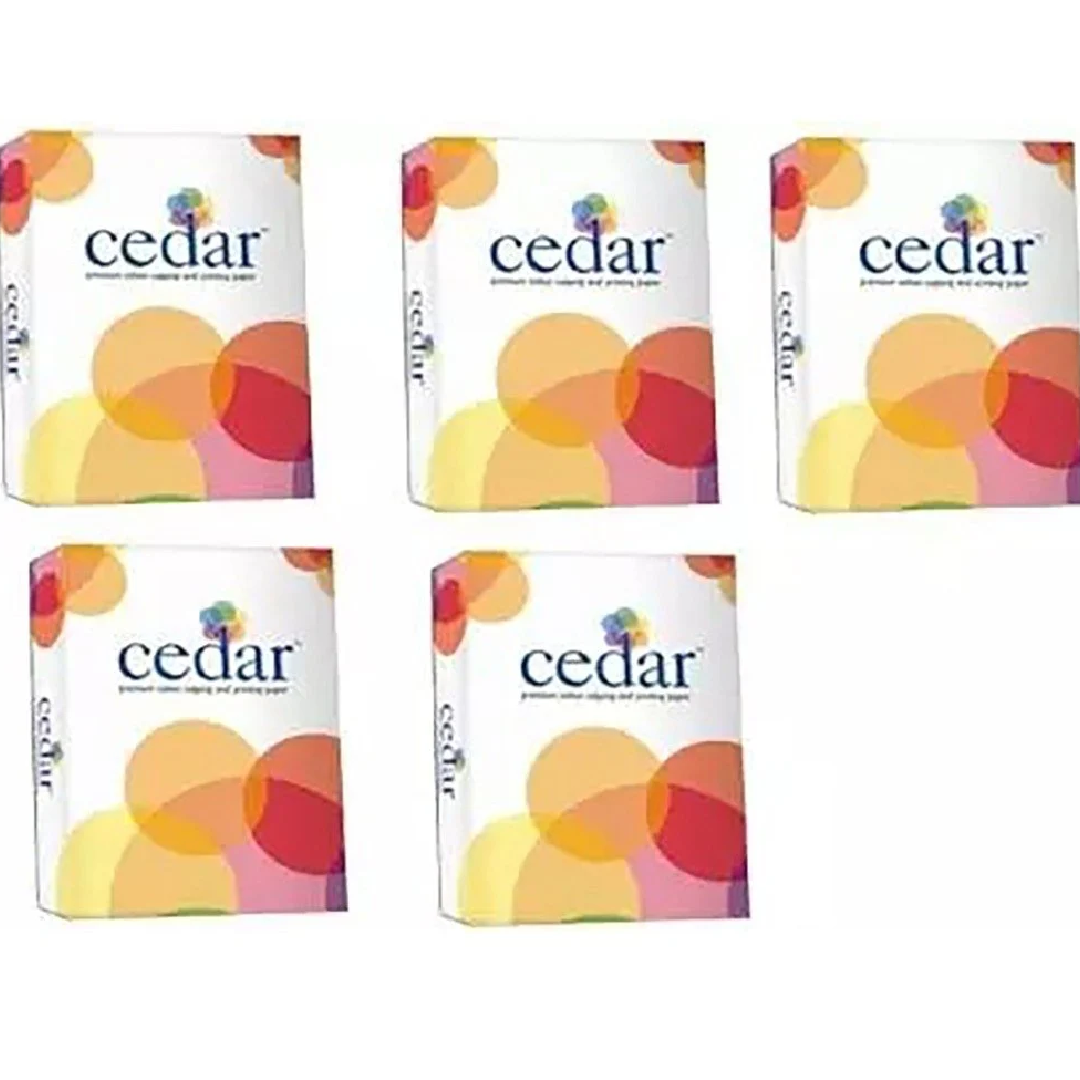 JK Cedar 100 GSM A3 Size Multipurpose Copier Paper 500 Sheets White (Pack of 5 Ream)