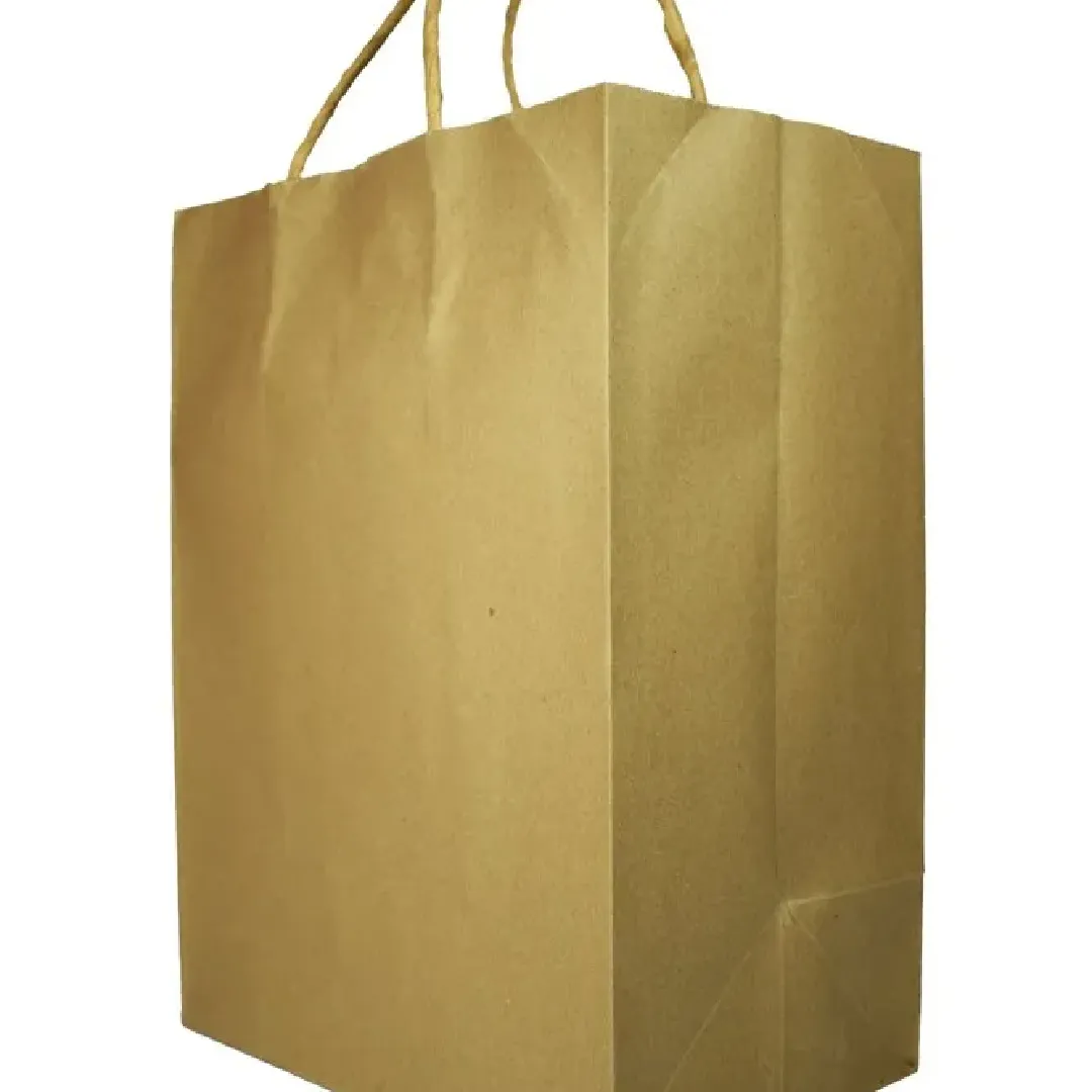 Paper Craft Shopping Bag - Eco-Friendly & Recyclable