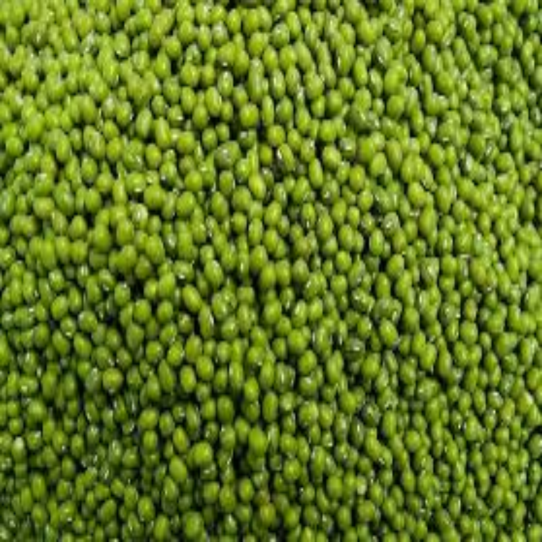 Moong Whole – Suppliers in United Arab Emirates