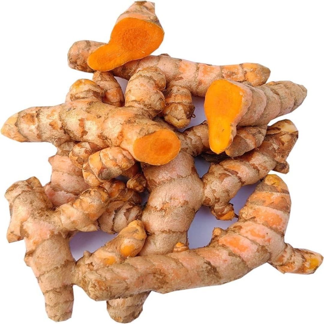 Fresh Turmeric – Wholesale Supplier in UAE & Dubai