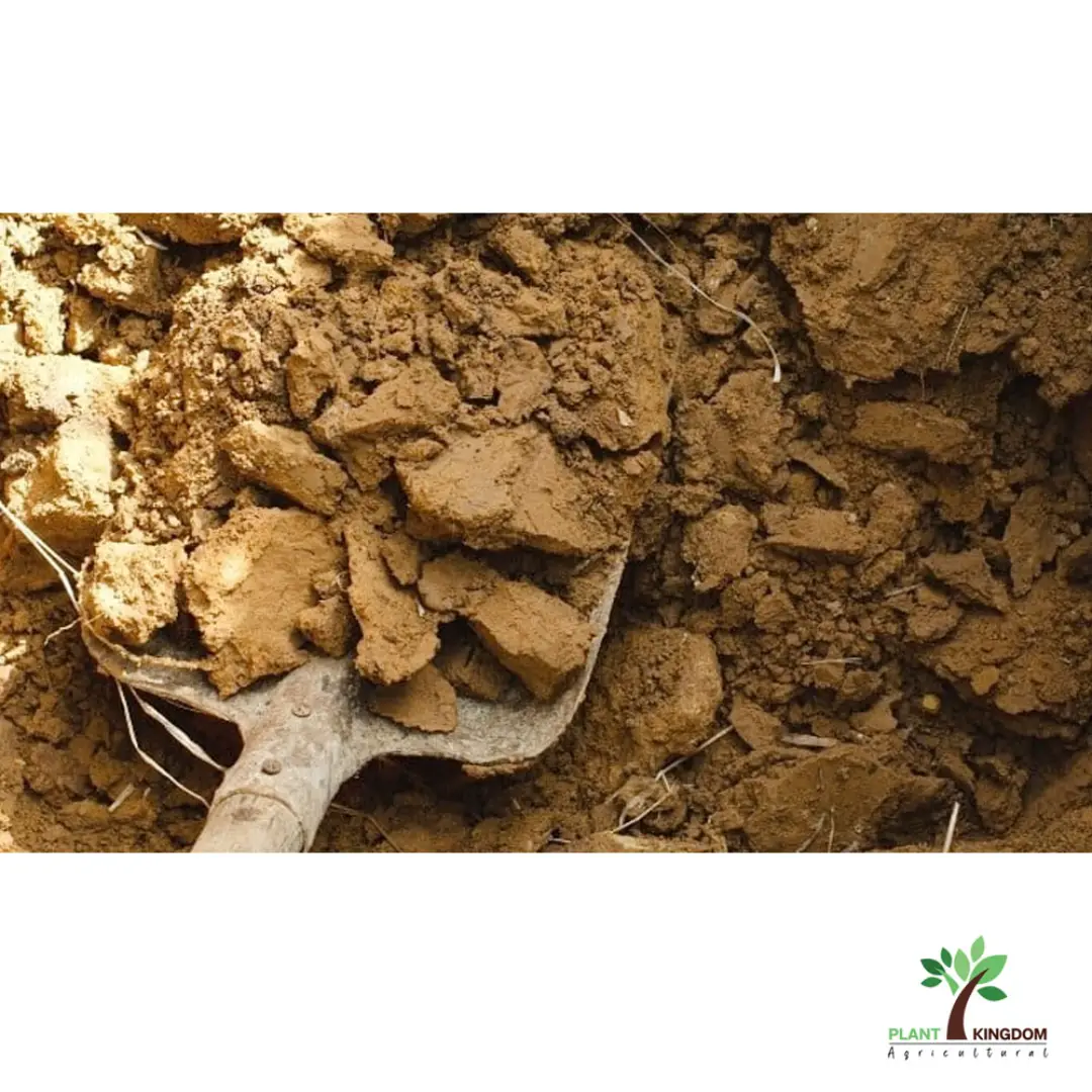 Agricultural Clay Soil – High Quality for Farming & Gardening | Supplier from USA