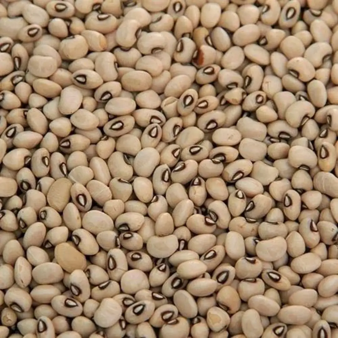 Cow Peas Dal Nutritious & Protein Rich Lentils