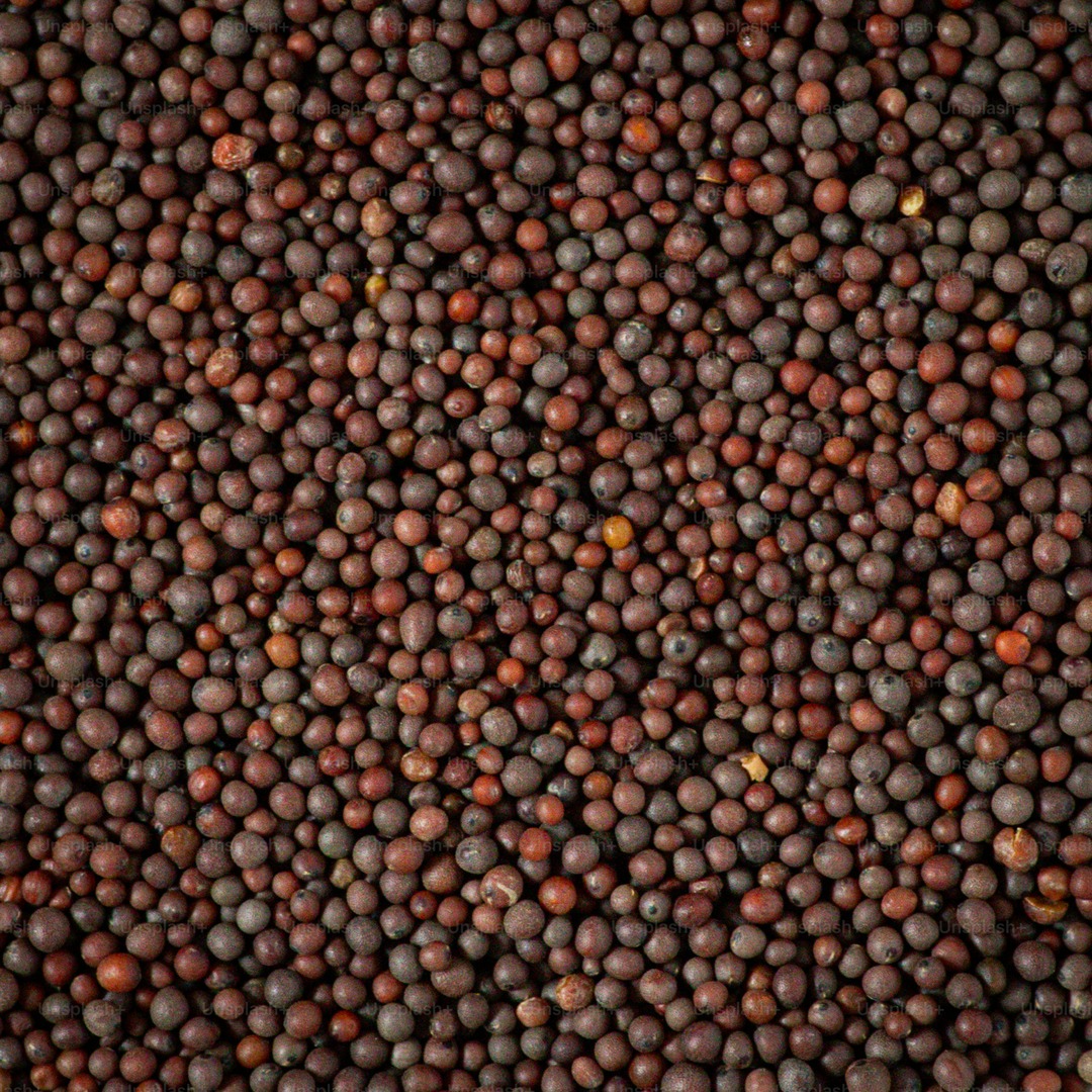 Mustard Seeds - Premium Whole & Ground Spices