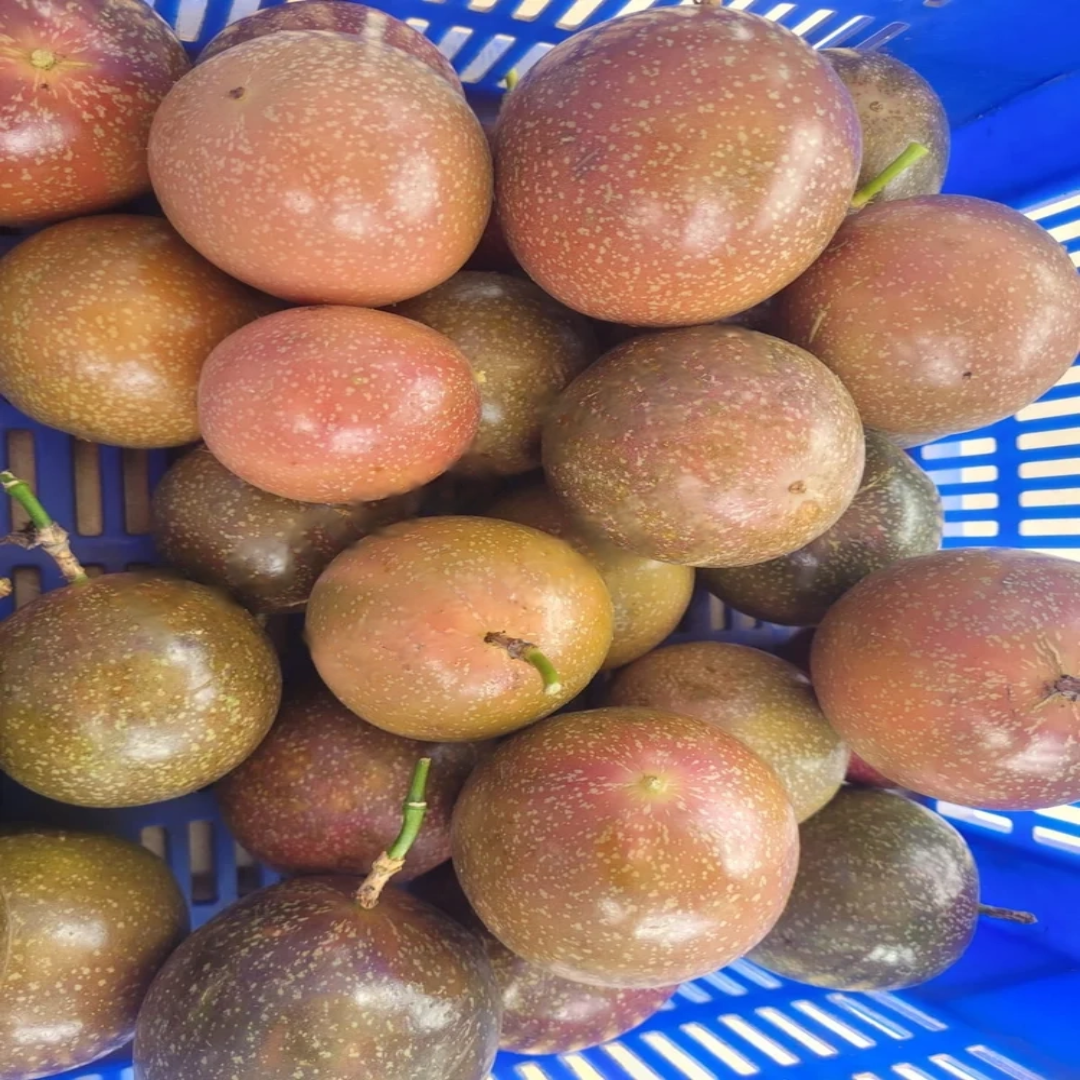 Pink A Grade Passion Fruit, Packaging Type: Carton, Packaging Size: 50 Kg