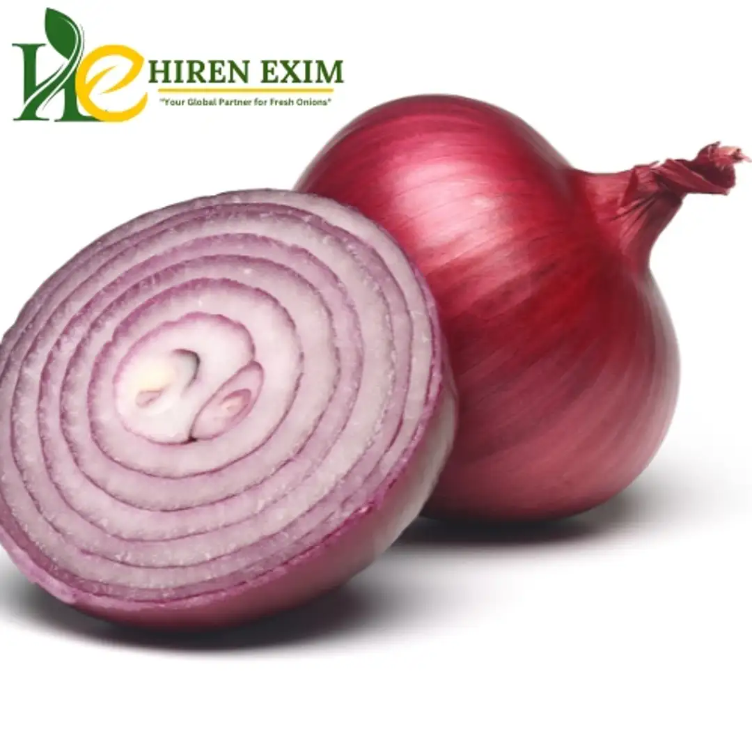 Fresh Red Onion for Daily Cooking with Natural Rich Flavor
