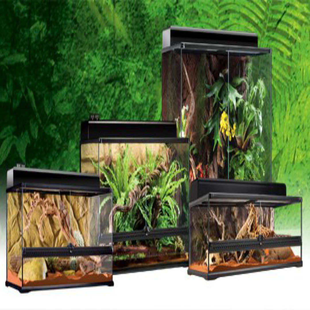  Exo Terra : Natural Terrarium Large / Wide Advanced Reptile Habitat