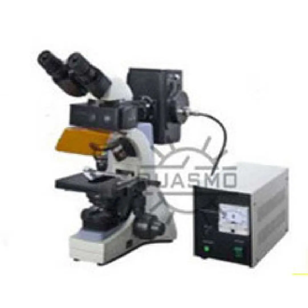 Fluorescent Lab Microscope - High Precision Imaging 