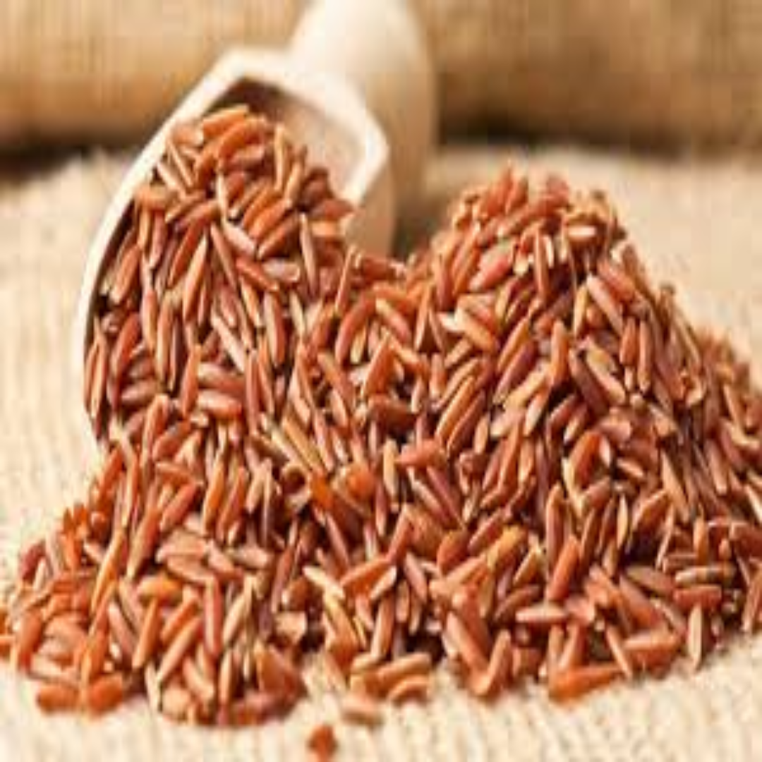 Organic Red Rice | Premium Red Rice Wholesale & Bulk Supply