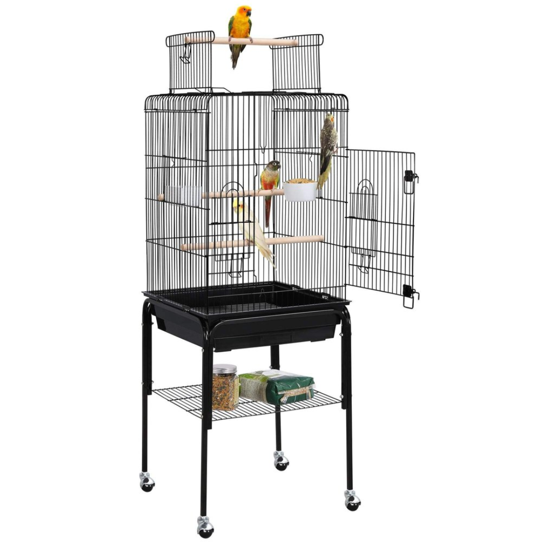 Parrot Cage