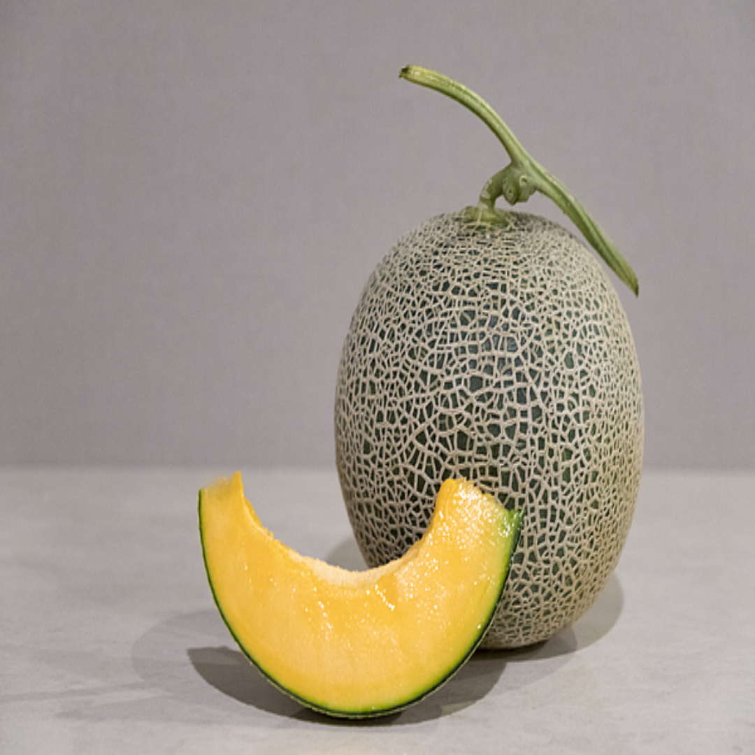 Wholesale Fresh Musk Melon Kharbuja – Oman