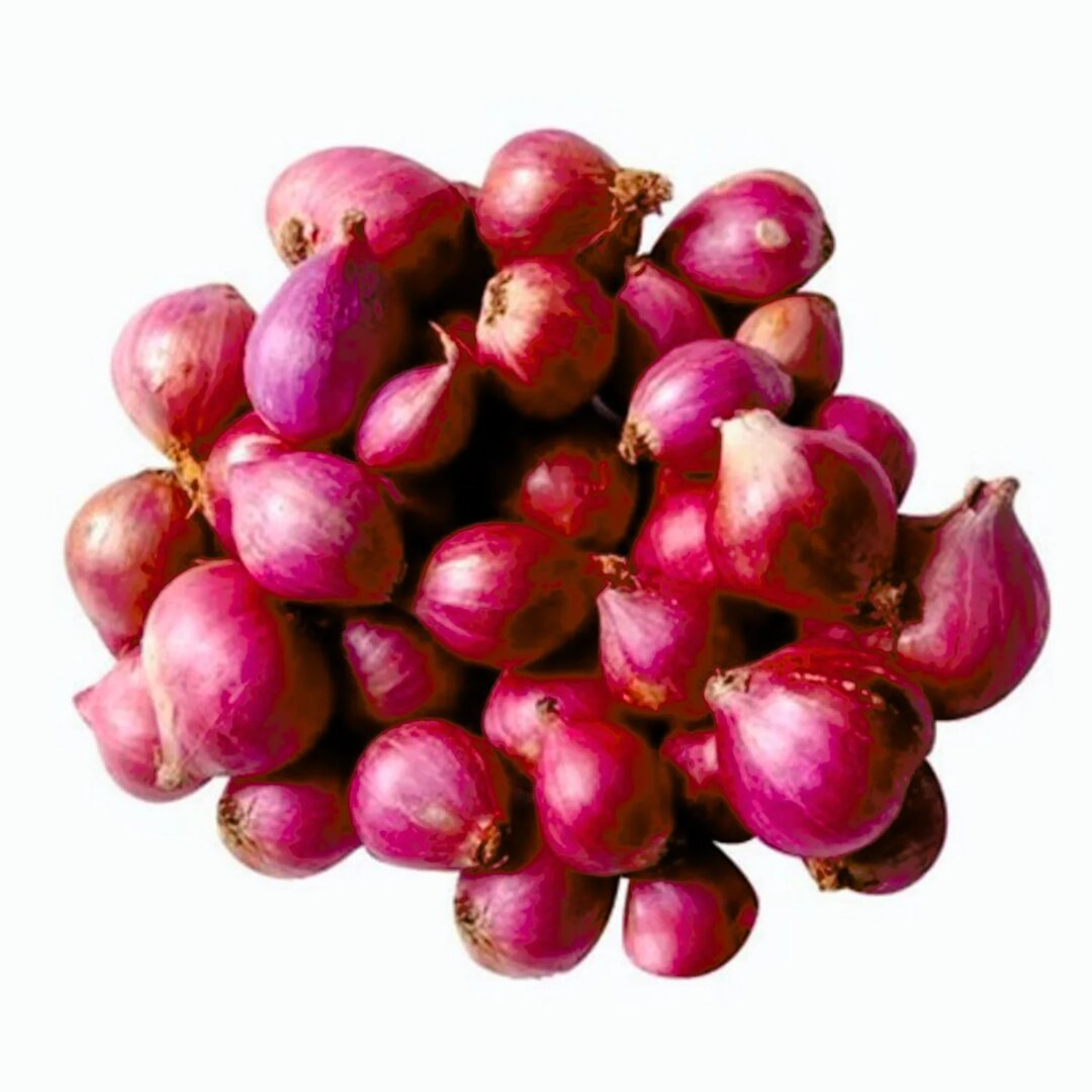 Wholesale Fresh Onion Supplier in UAE