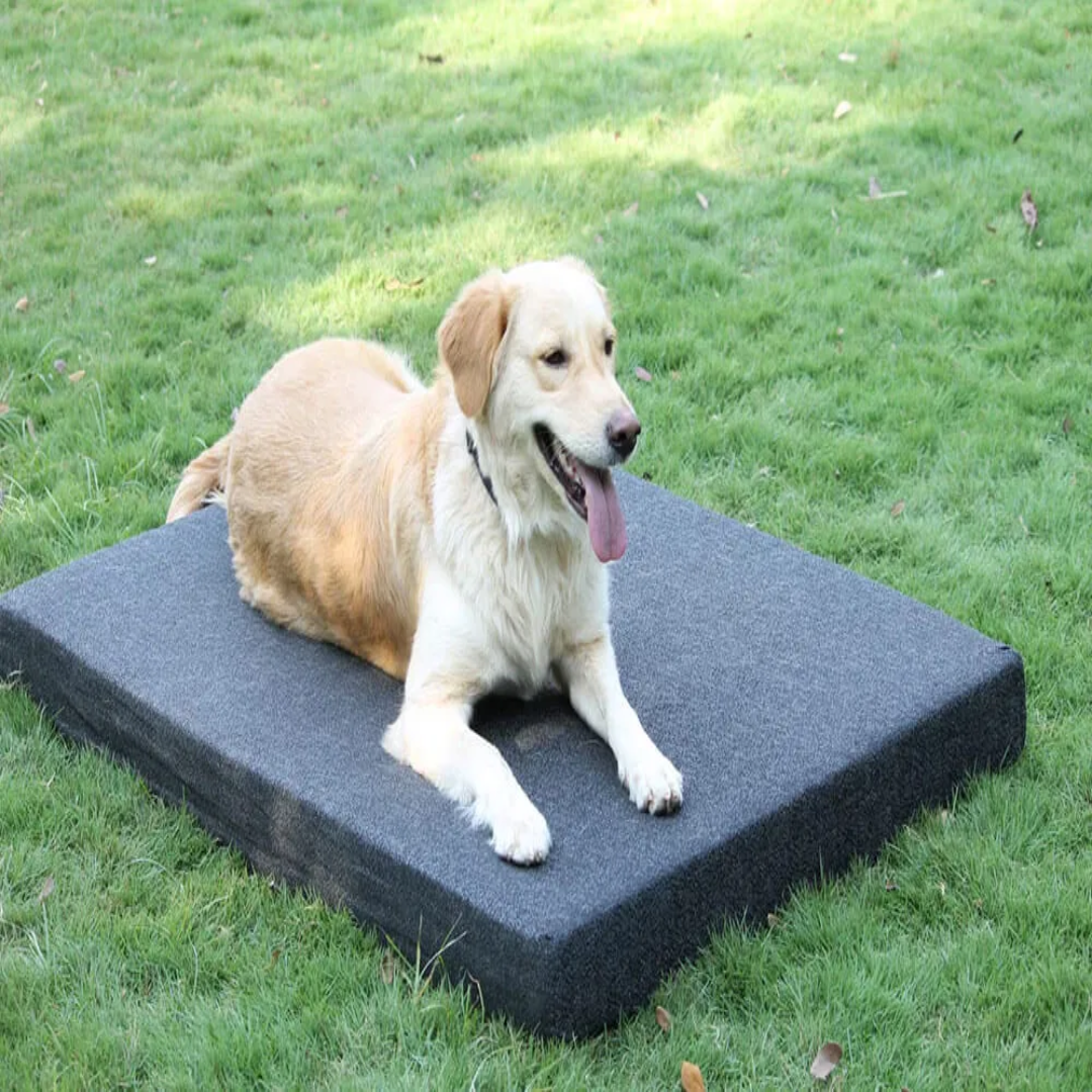 Orthopedic Dog Mattress