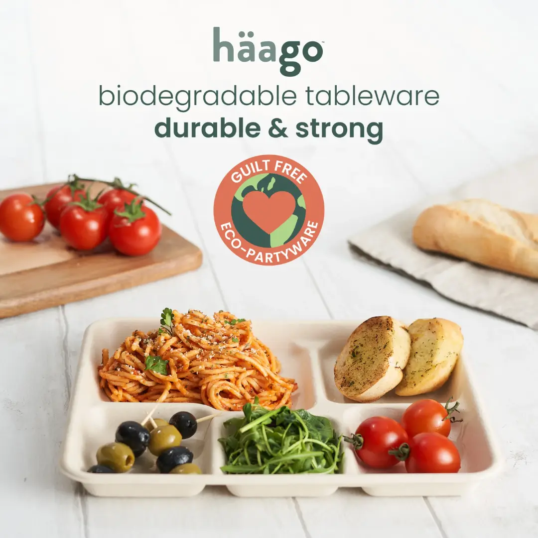 Sugarcane Sectioned Trays 26cm – UK Eco Tableware