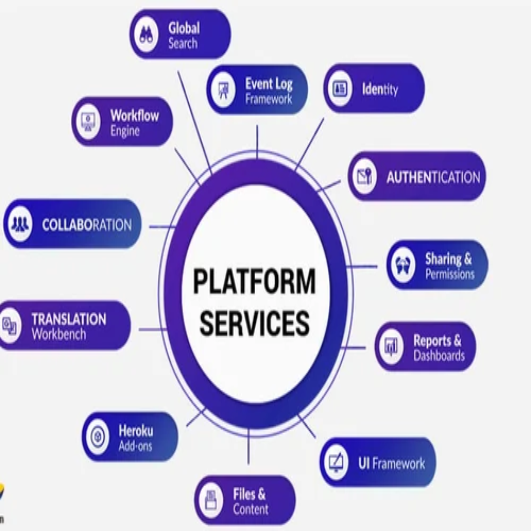 Private Cloud PaaS Platform As A Service