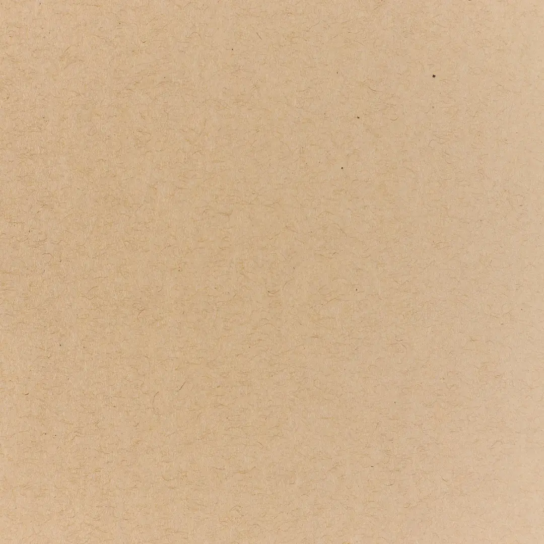 Speckletone Kraft Envelopes Office Use USA
