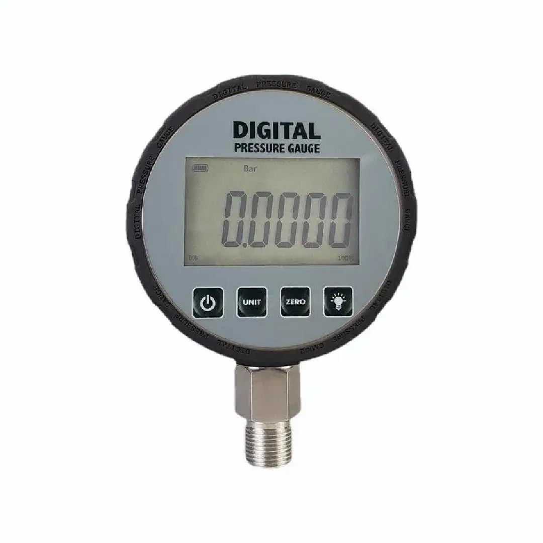 Digital Pressure Gauge - High Precision, 160 to -600 Bar