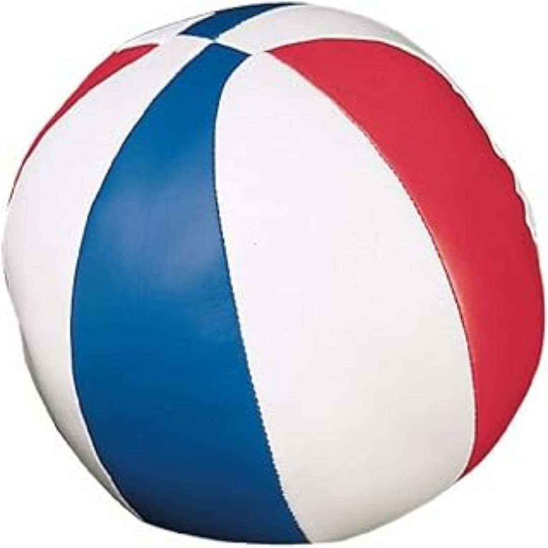 Champion Sports Soft Sport Mini Basketball