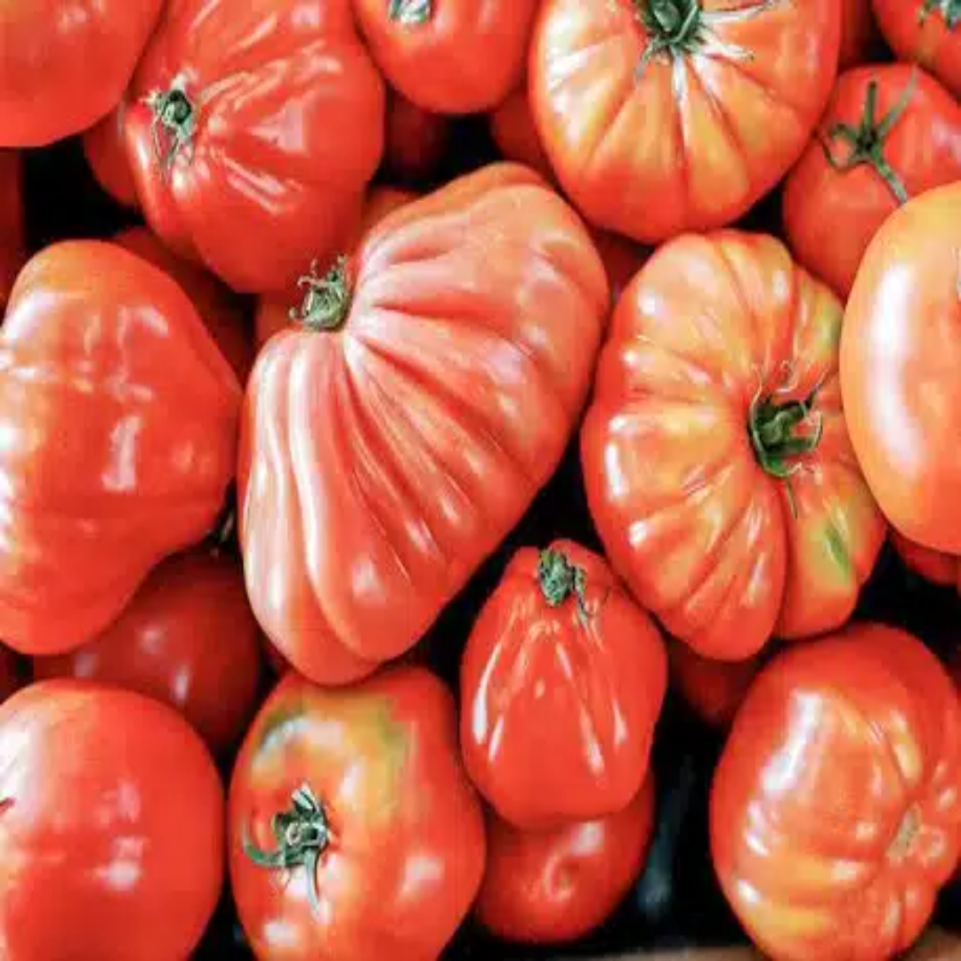 Heirloom Tomatoes Wholesale For Premium Quality