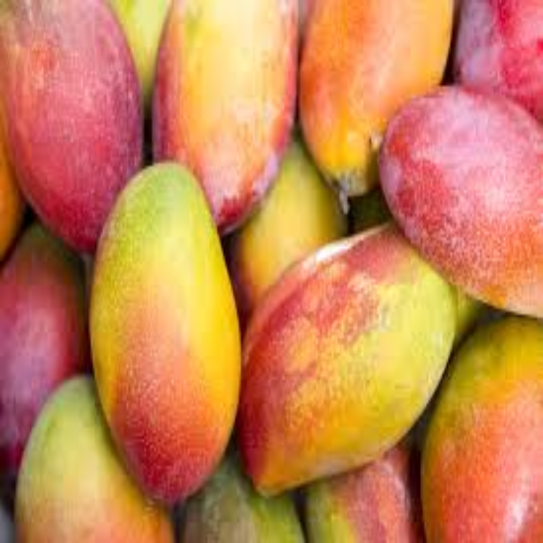 Fresh Palmer Mango Sweet Juicy Tropical Fruit Premium Export Quality for Summer Season