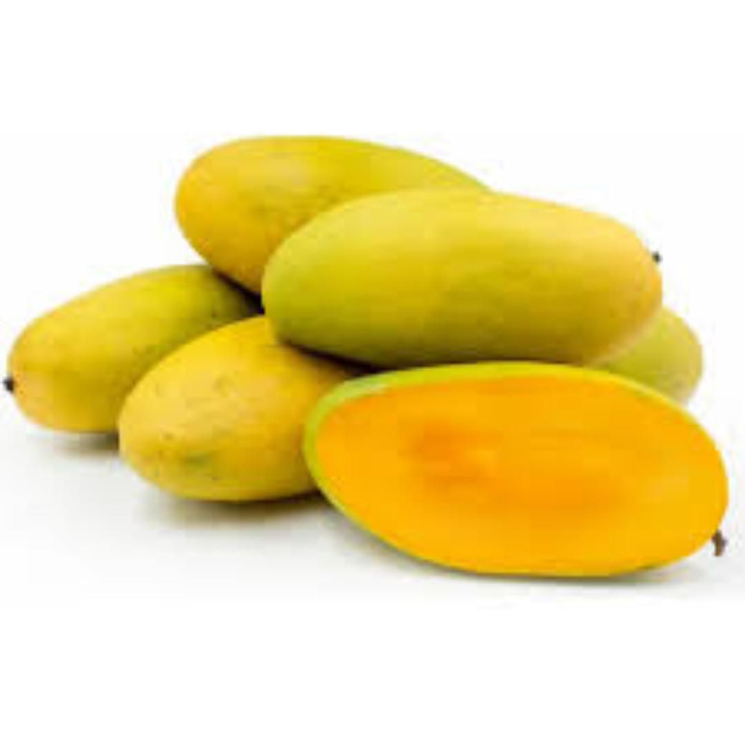 Dasheri Mangoes for International Fruit Trade Markets