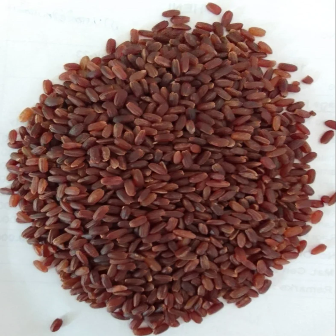 Wholesale Red Karunguruvai Rice – Premium Quality, 26-50 Kg Bags