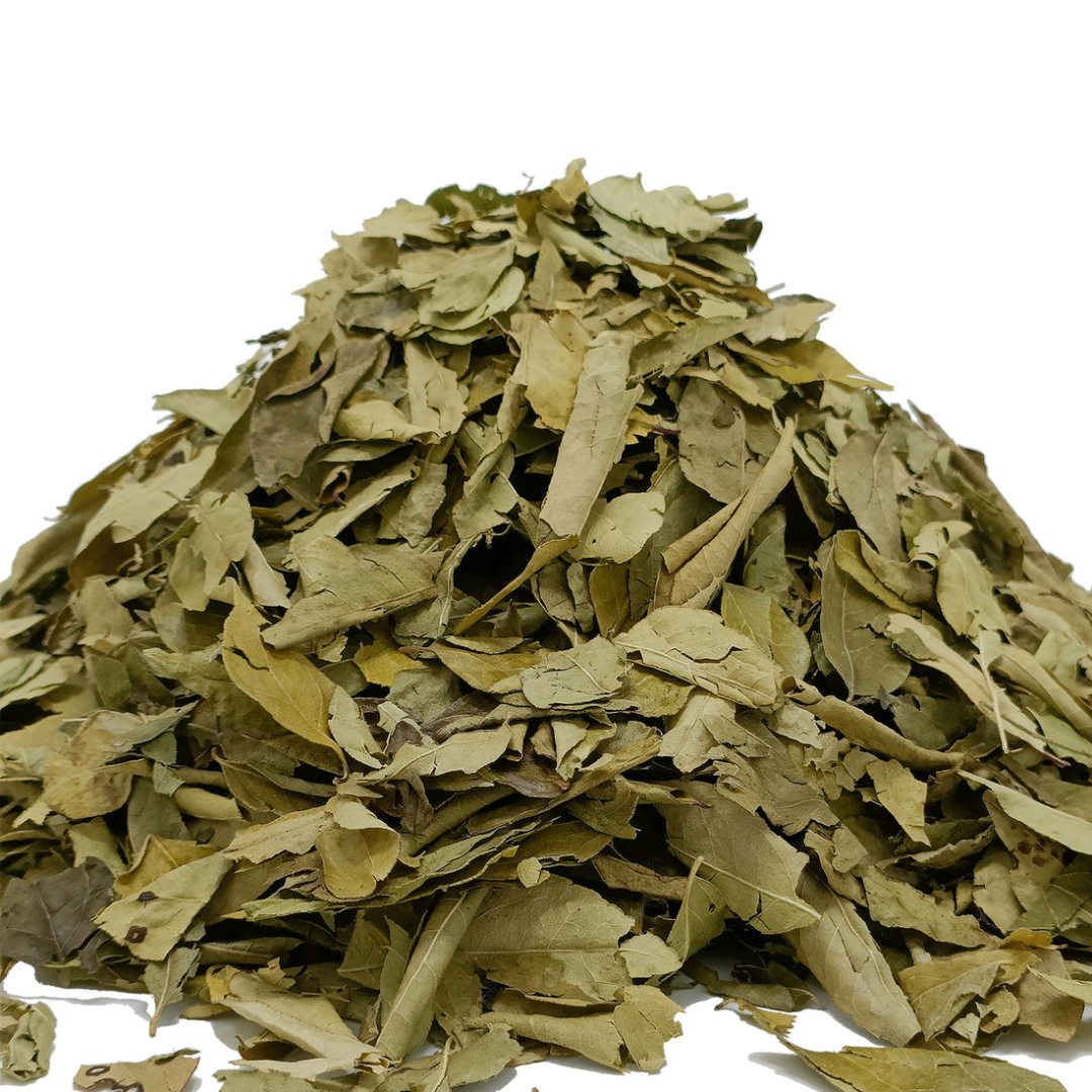 Wholesale Natural Dehydrated Curry Leaves Supplier – Dubai