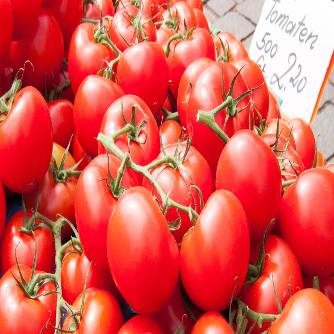 Vine-Ripened Tomatoes Distributor For Rich Flavor
