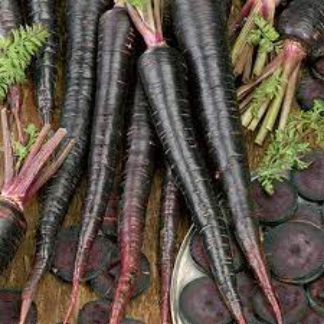 Black Carrots for Antioxidant Juices and Bold Rich Flavor